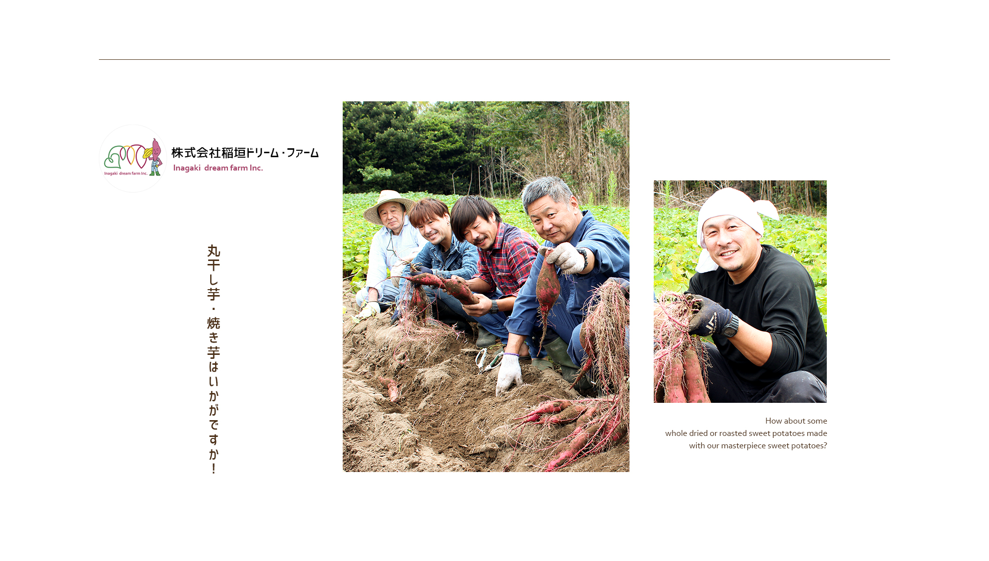 丸干し芋・焼き芋はいかがですか!